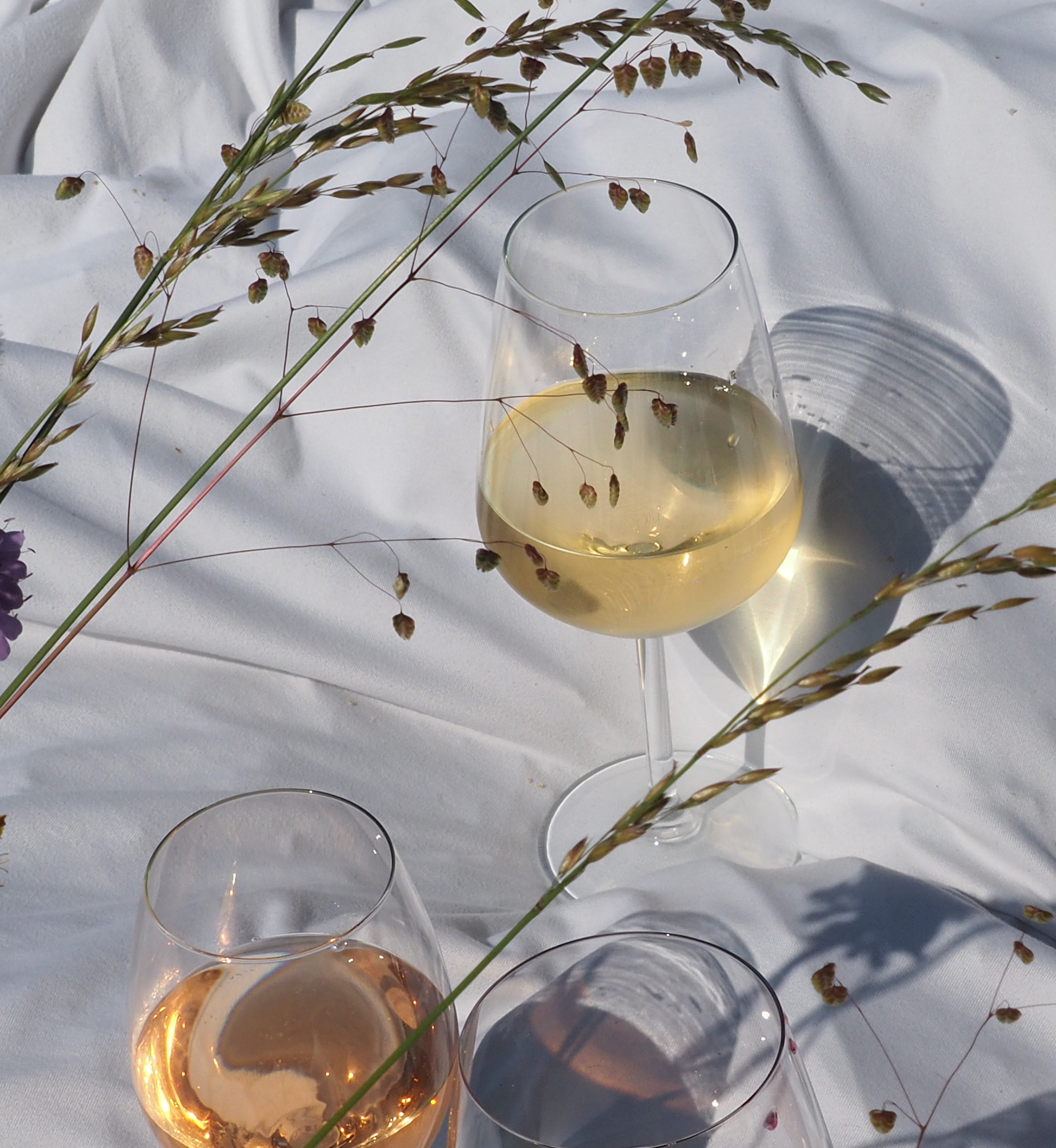 Vinho Verde